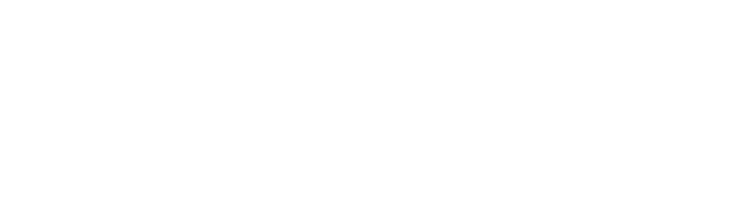 University of Sheffield